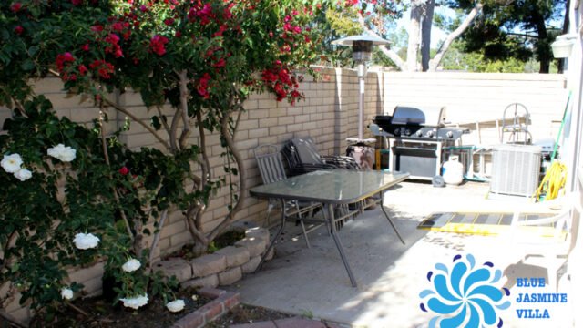 backyard-1