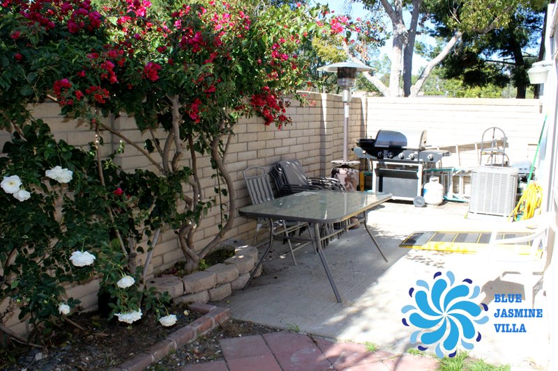 backyard-1